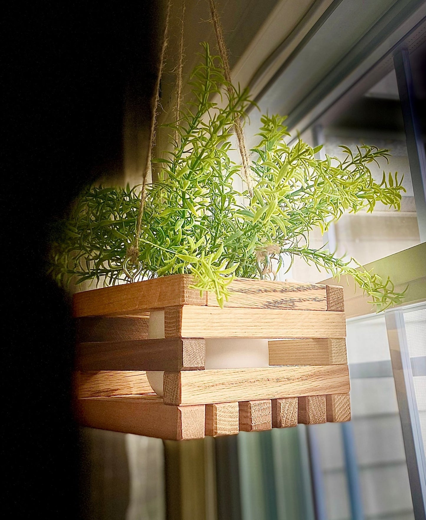 Hanging Planter (Indoor) - Fenwick & OliverHanging Planter (Indoor)Hanging PlanterFenwick & OliverFenwick & OliverHP-1