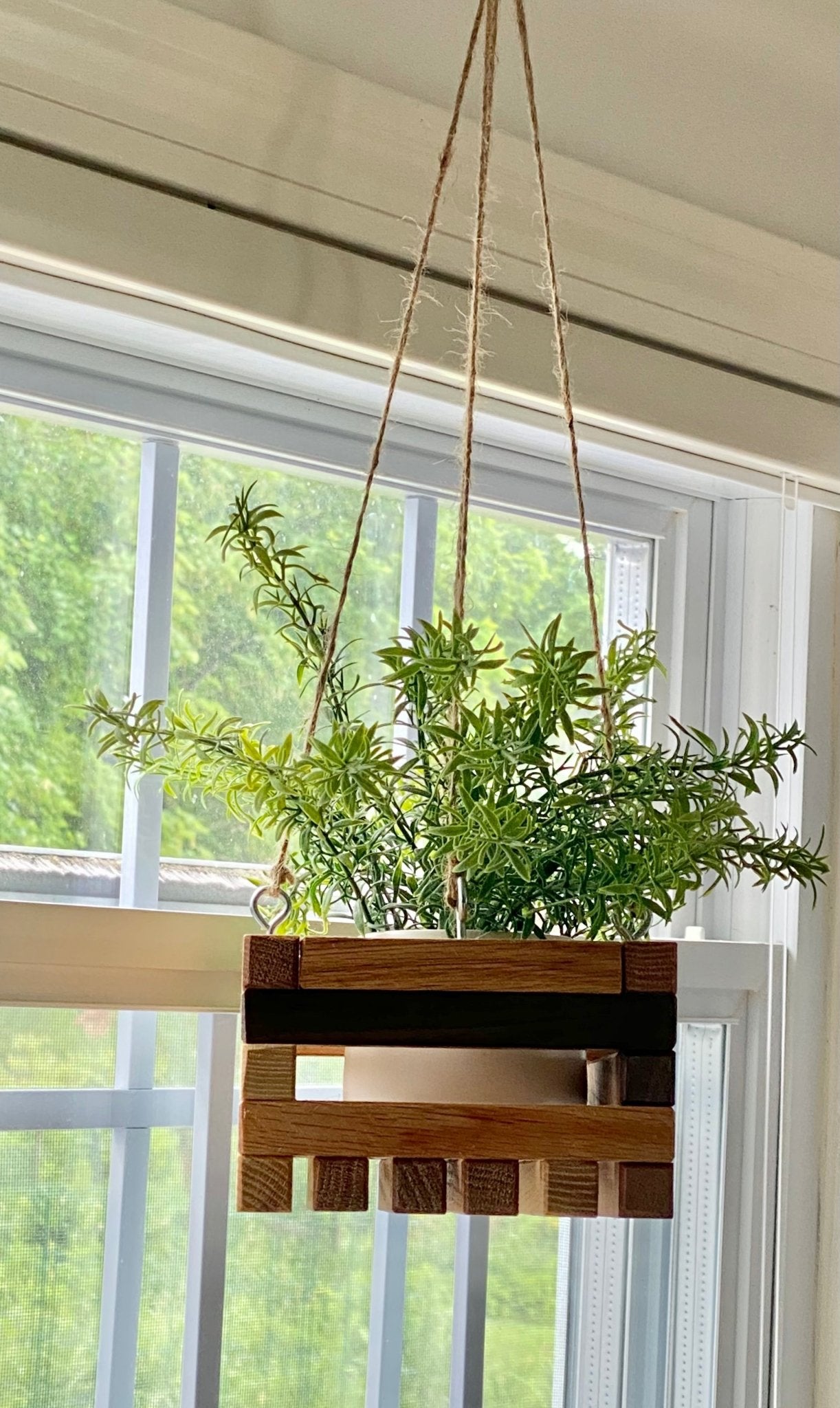Hanging Planter (Indoor) - Fenwick & OliverHanging Planter (Indoor)Hanging PlanterFenwick & OliverFenwick & OliverHP-1