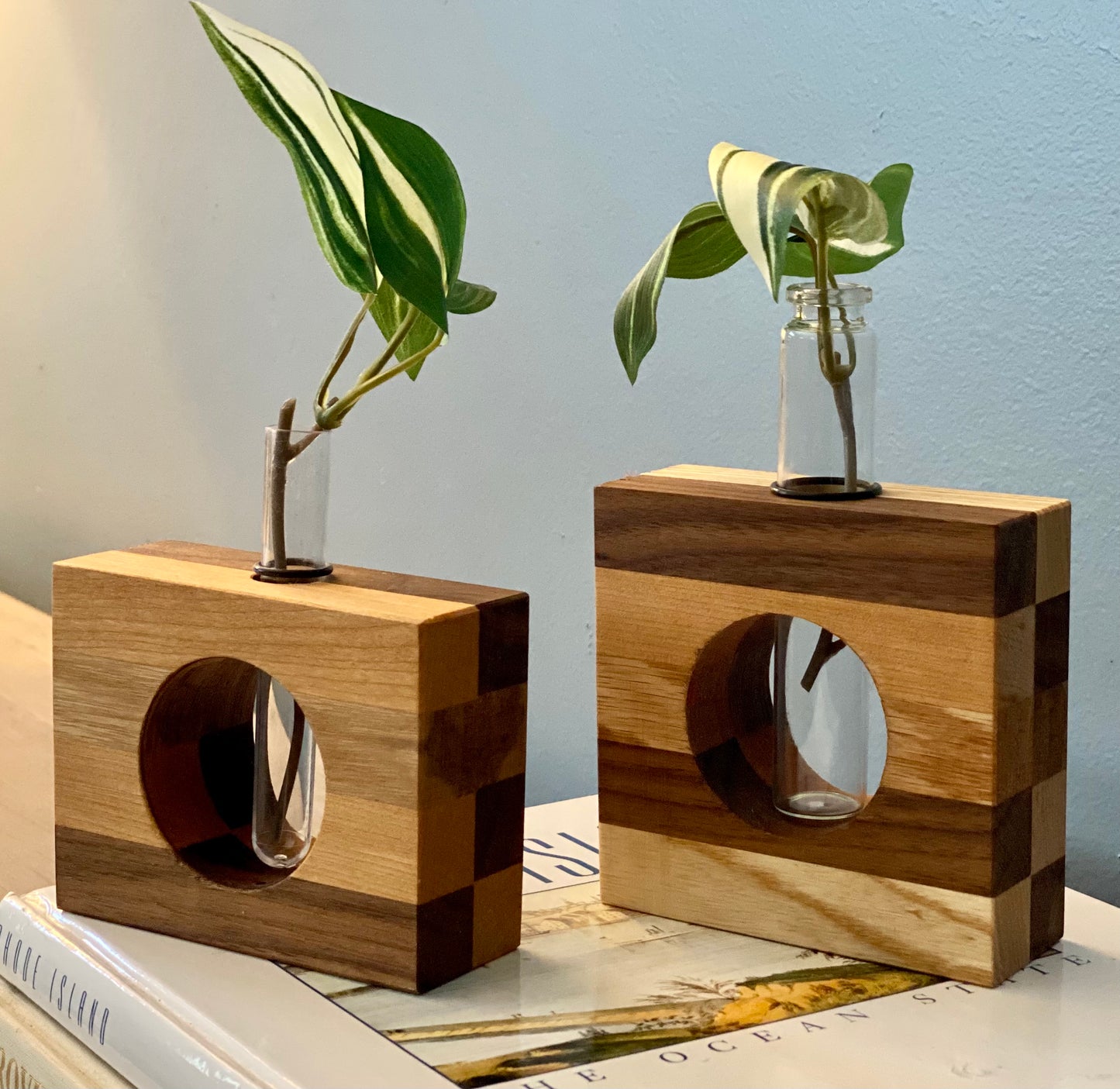 Propagation Station Single Small Tube