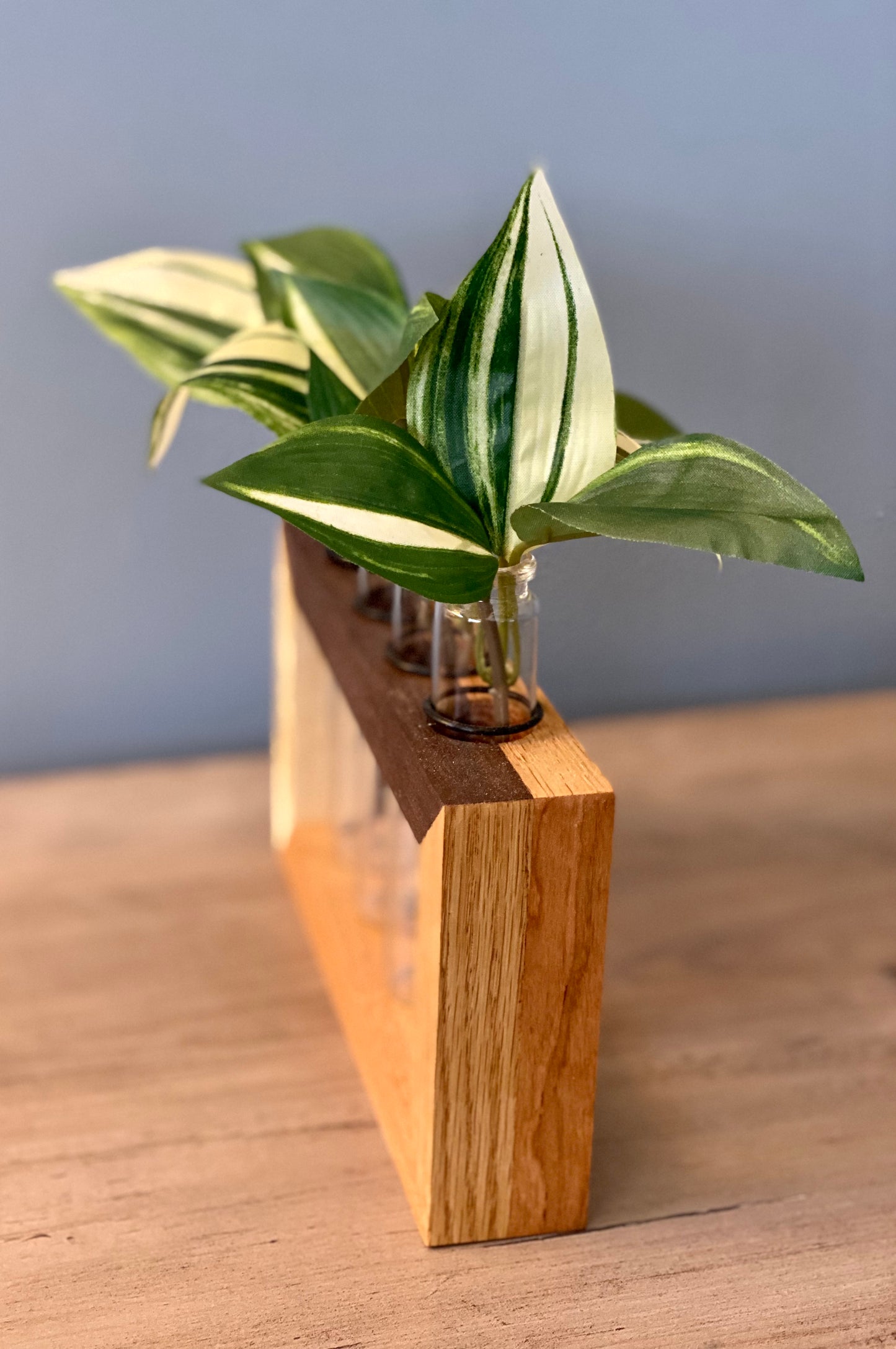 Propagation Station Tabletop