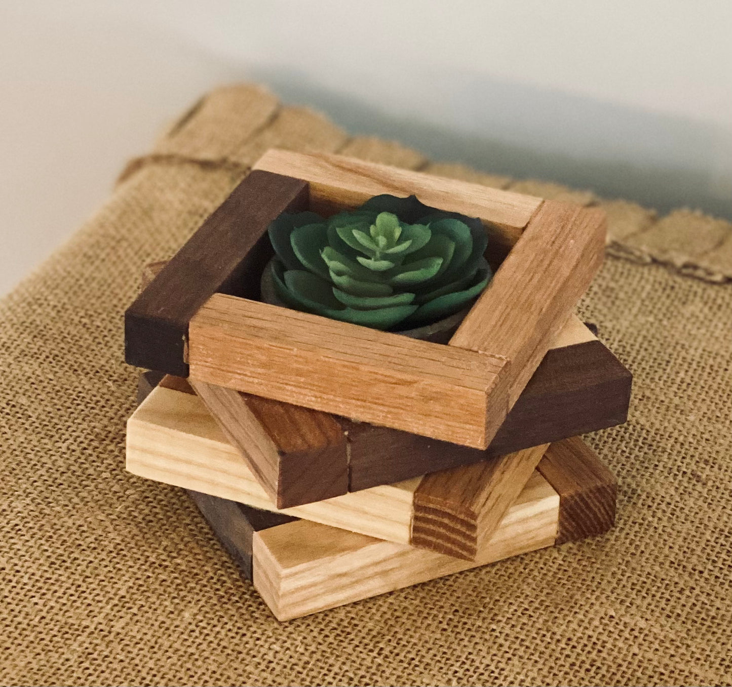 Succulent holder