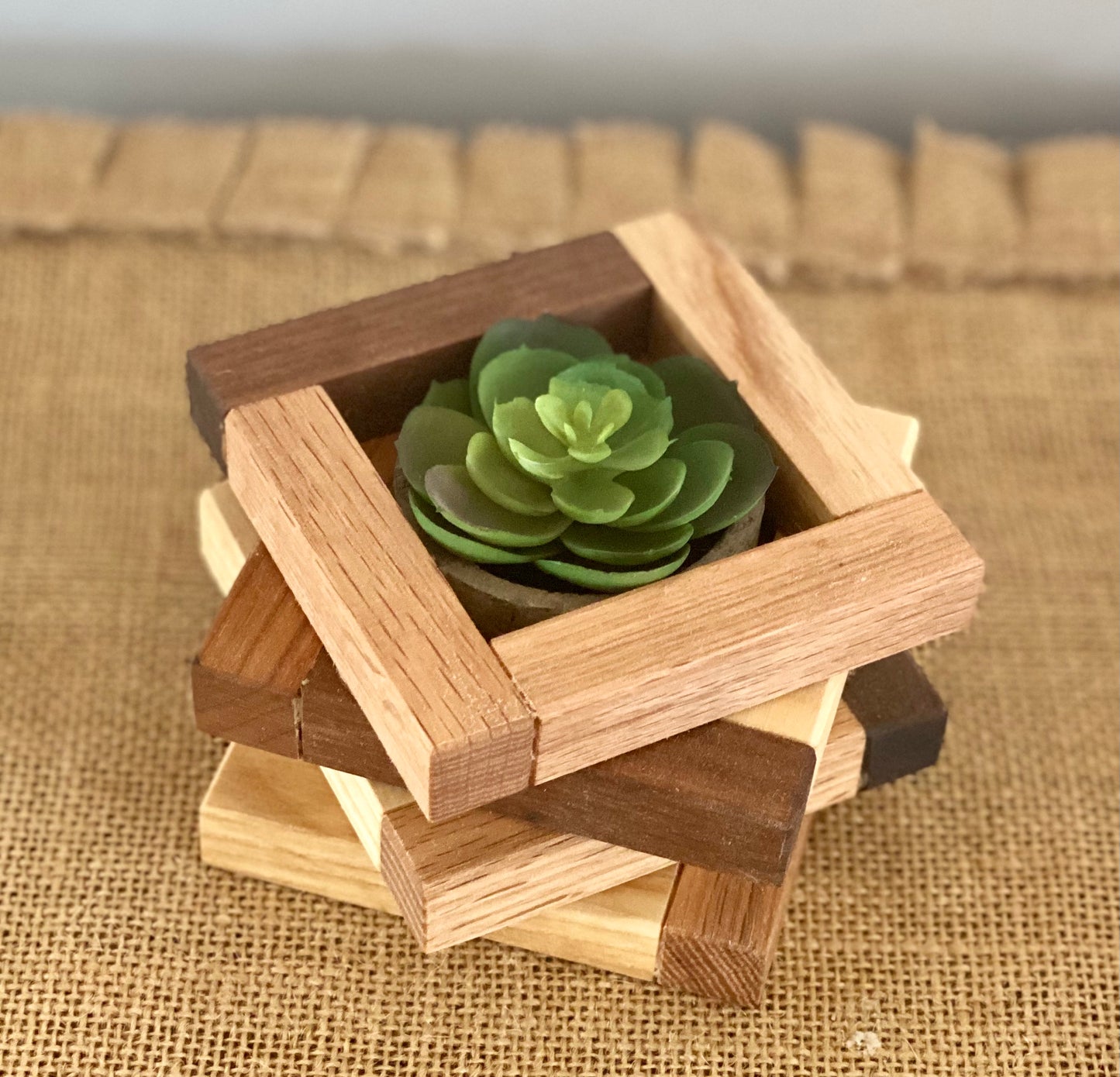 Succulent holder