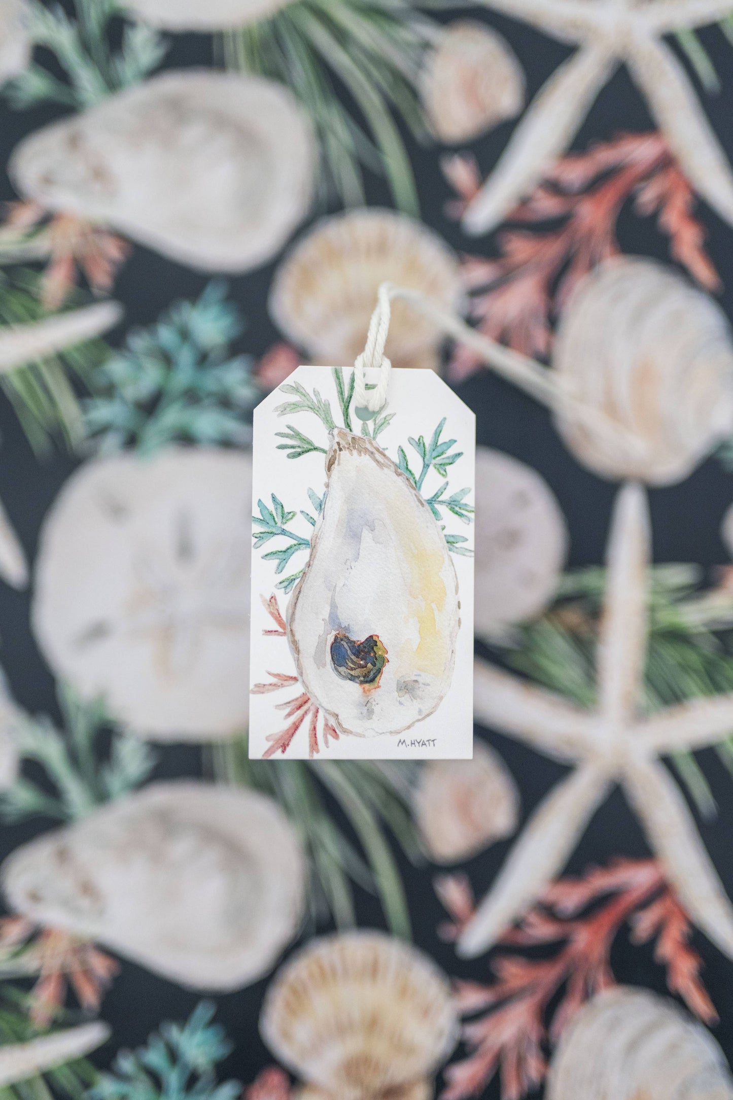 "Holiday Shells Teal" Holiday wrapping paper roll