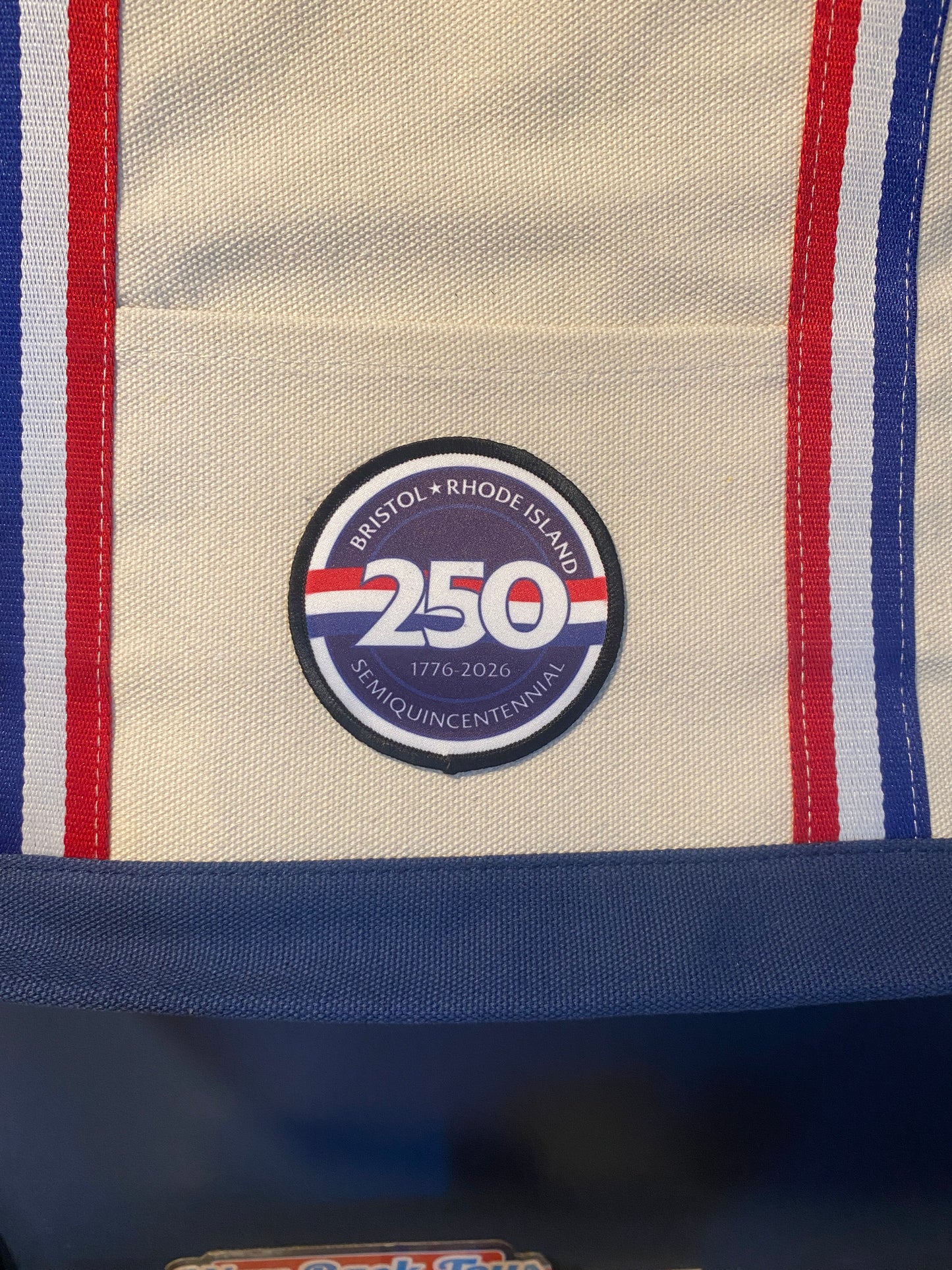 Bristol 250 tote
