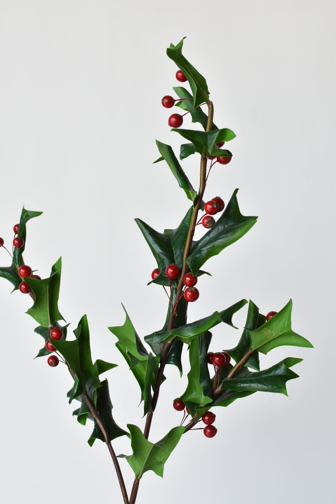 38" Faux Real Touch Holly Branch