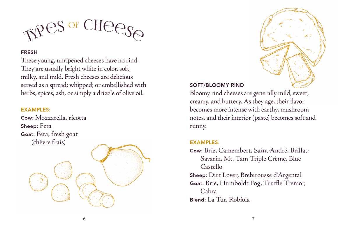 Little Book of Charcuterie and Cheese by Lynda  Balslev