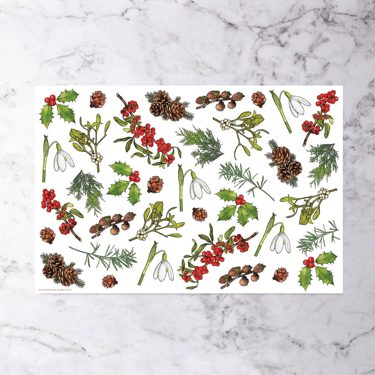 Brook Isle - Holiday Specimen Paper Placemats (Set of 12)