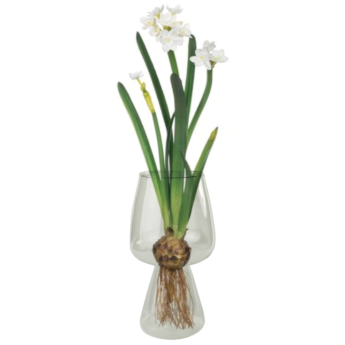 Bulb Vase, Glass - Fenwick & OliverBulb Vase, GlassHomArtFenwick & Oliver6479-0