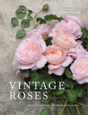 Gibbs Smith - Vintage Roses - Fenwick & OliverGibbs Smith - Vintage RosesGibbs SmithFenwick & Oliver9781423646716