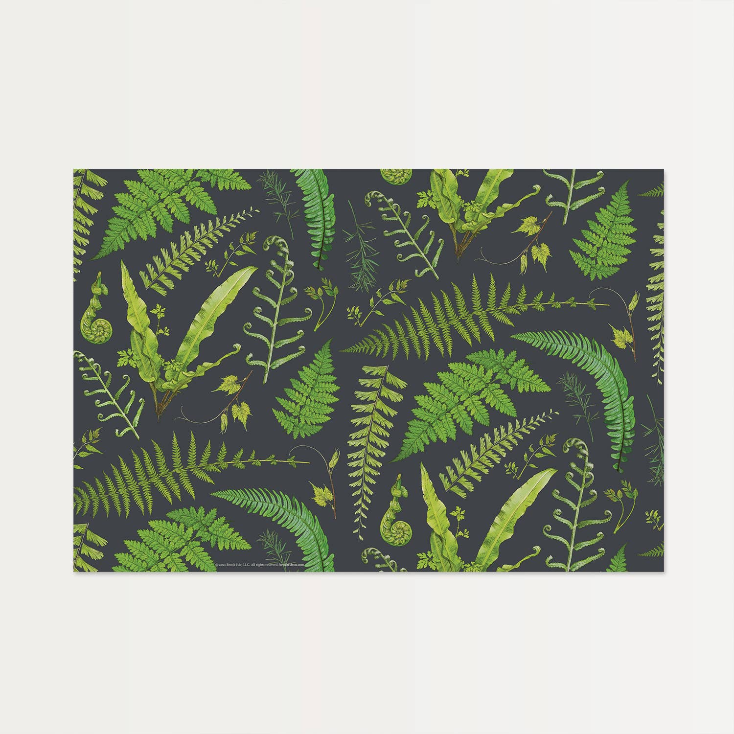 Paper Placemats (Set of 12) - Fenwick & OliverPaper Placemats (Set of 12)PaperBrook IsleFenwick & OliverMAT-Fern