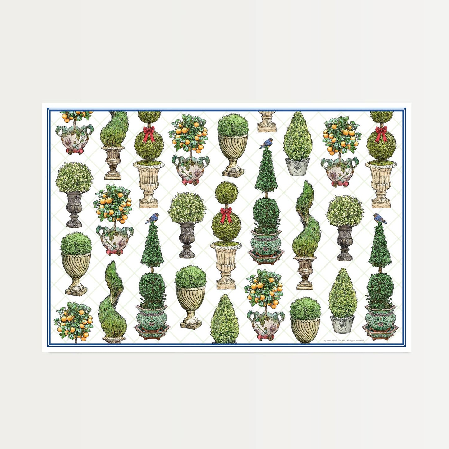 Paper Placemats (Set of 12) - Fenwick & OliverPaper Placemats (Set of 12)PaperBrook IsleFenwick & OliverMAT-Fern-4